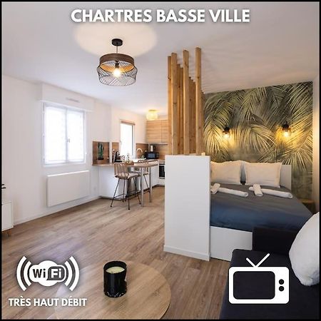 Chartres - Le Saint Pierre Διαμέρισμα Εξωτερικό φωτογραφία